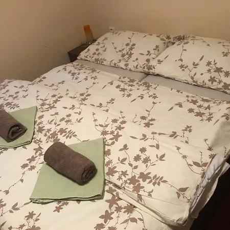Pensión U Zlatého Srnce *