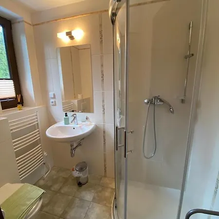 Guest house U Zlateho Srnce Srni