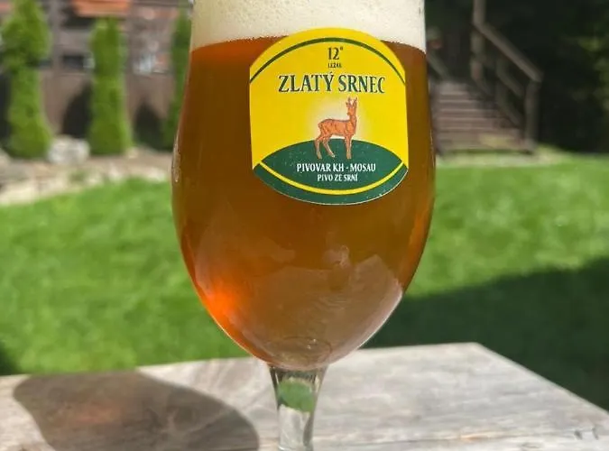Gasthuis U Zlateho Srnce